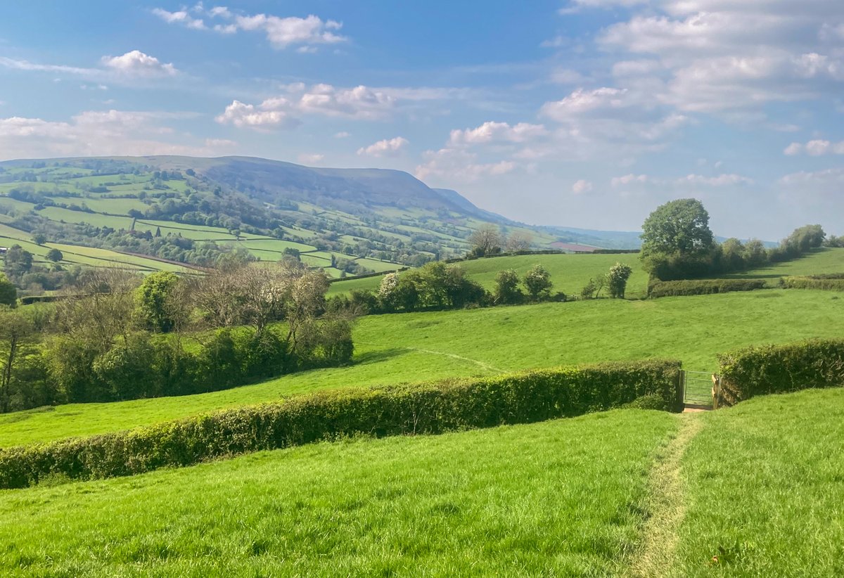 Land's End to Keswick Day 19: Monmouth–Pandy, 16.5 miles. Day two of the @OffasDykePath. OD aficionados will likely say this stretch is no highlight, but some lovely pastural interludes, fab old buildings and hints of bigger hills to come. It was hot out there. 318.5 miles down.