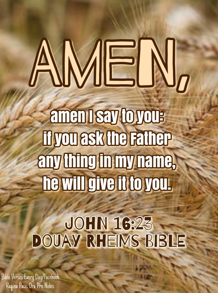 Amen, amen I say to you: if you ask the Father any thing in my name, he will give it to you. Hitherto you have not asked any thing in my name. Ask, and you shall receive; that your joy may be full. (John 16:23-24, Douay Rheims Bible)