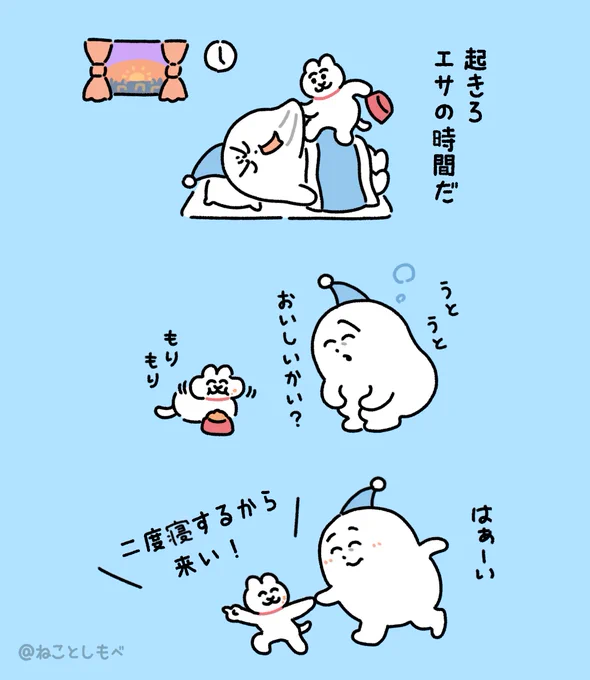 早朝に飼い主を起こした後、二度寝に誘うねこ