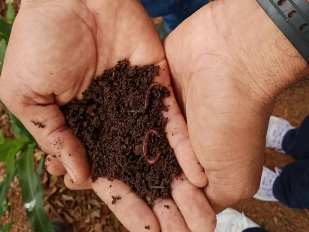 Mincyt_VE's tweet photo. #10May | Entre alegría y curiosidad, unos 50 niños y niñas, del estado Guárico, visitaron los laboratorios del Centro de Investigación y Extensión en Suelos y Aguas (Ciesa), ubicados en la Unerg.

Te contamos más ➡️ https://t.co/16sdSdX0Ia https://t.co/qlRPYmHlTK