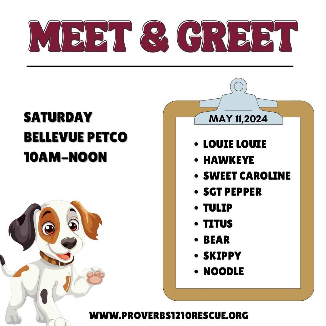 Ready for a paw-some Saturday? Swing by Petco in Bellevue from 10am to noon to meet some amazing dogs that would love to meet you. See you there! 🐾 proverbs1210rescue.org