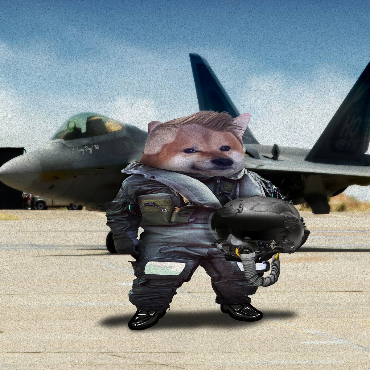 #FellaDelivery for @SteezyyTommyy One F-22 Raptor Fella is ready to take to the sky for high-altitude bonks! Welcome to #NAFO #NAFOfellas #NAFOExpansionIsNonNegotiable @Kama_Kamilia @goblin__soup @Official_NAFO