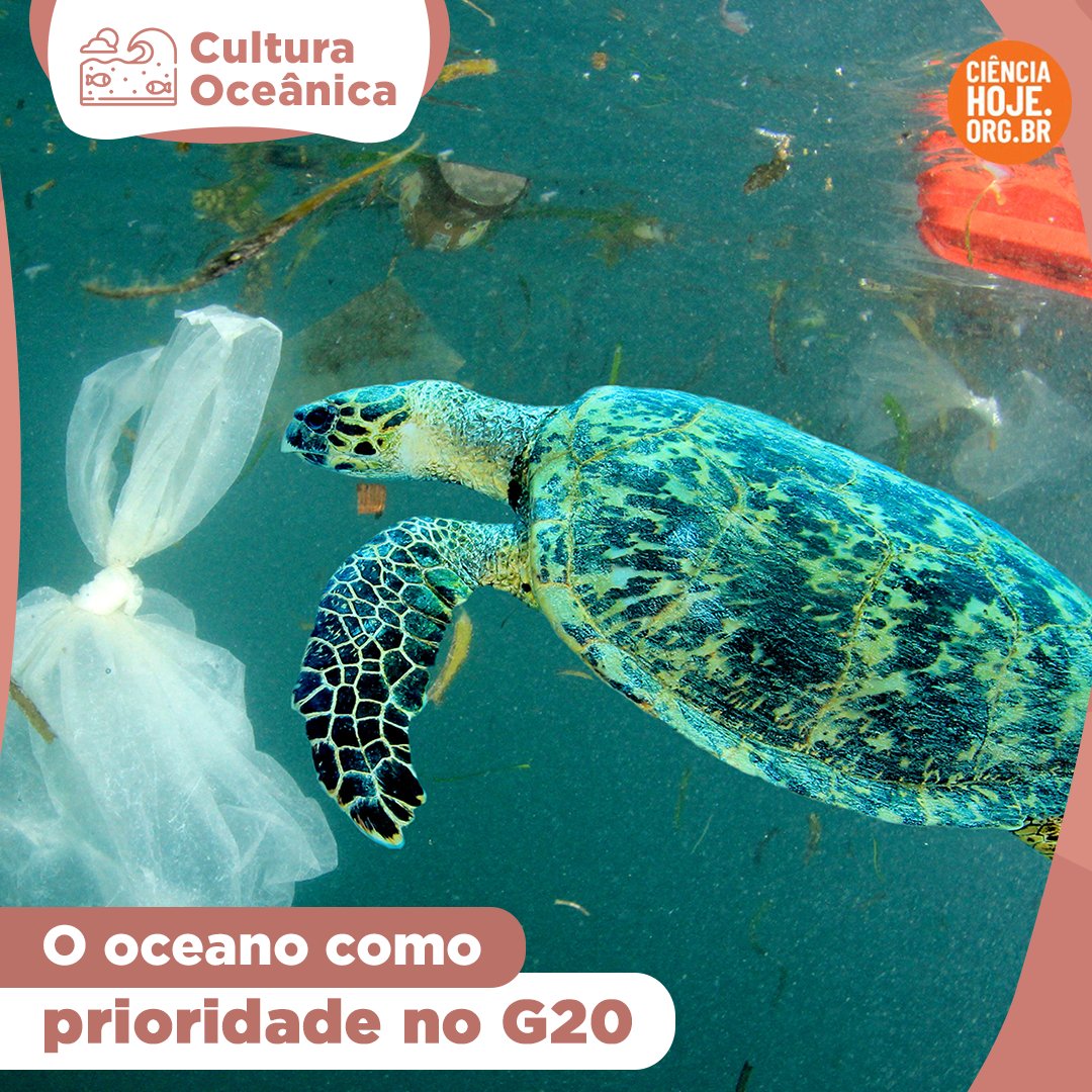 🌊🌎🗑 CULTURA OCEÂNICA | "Há 40 anos, vivemos no oceano, tendo experiências incríveis e testemunhando in loco que o verdadeiro pulmão do planeta está sufocando, mesmo responsável por mais de 50% do oxigênio que respiramos e por regular o clima."👇🌊🗑

cienciahoje.org.br/artigo/o-ocean…

+