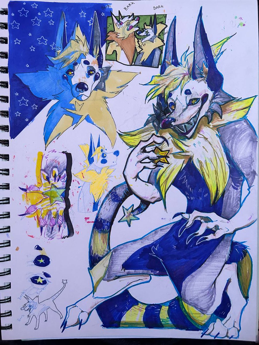 SuffixStuff's tweet photo. My star boi https://t.co/q3YsSW41eX