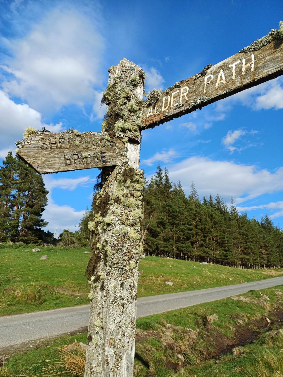 Lovely lichen-encrusted signpost above Newtonmore 
#FingerpostFriday