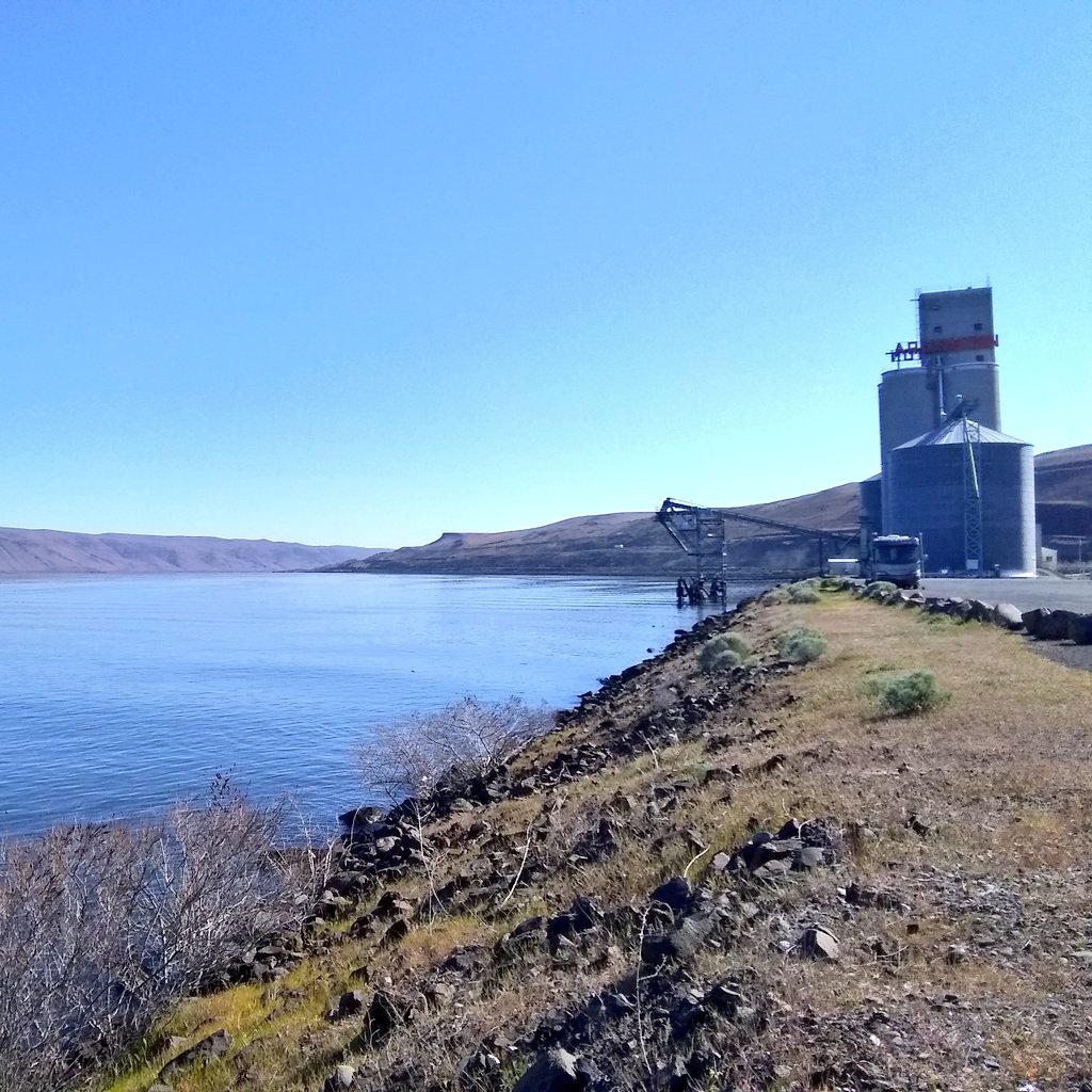 Stopped for gas in the cute little town of Arlington, #Oregon. They had a small marina and RV Park right along the #ColumbiaRiver, with a pretty view. 
#roadtrip #travel #getaway #girlswhowander