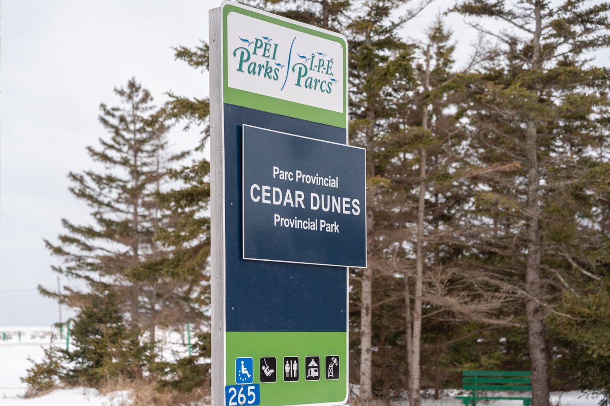 Le remarquable projet de restauration du littoral de Cedar Dunes #IPE permet de lutter contre l’érosion!

Avec l’aide du #GC, West Point utilise des #infra naturelles pour réduire les impacts des #ChangementsClimatiques.

Plus d’info : infrastructure.gc.ca/investments-in…

@InfoPEI