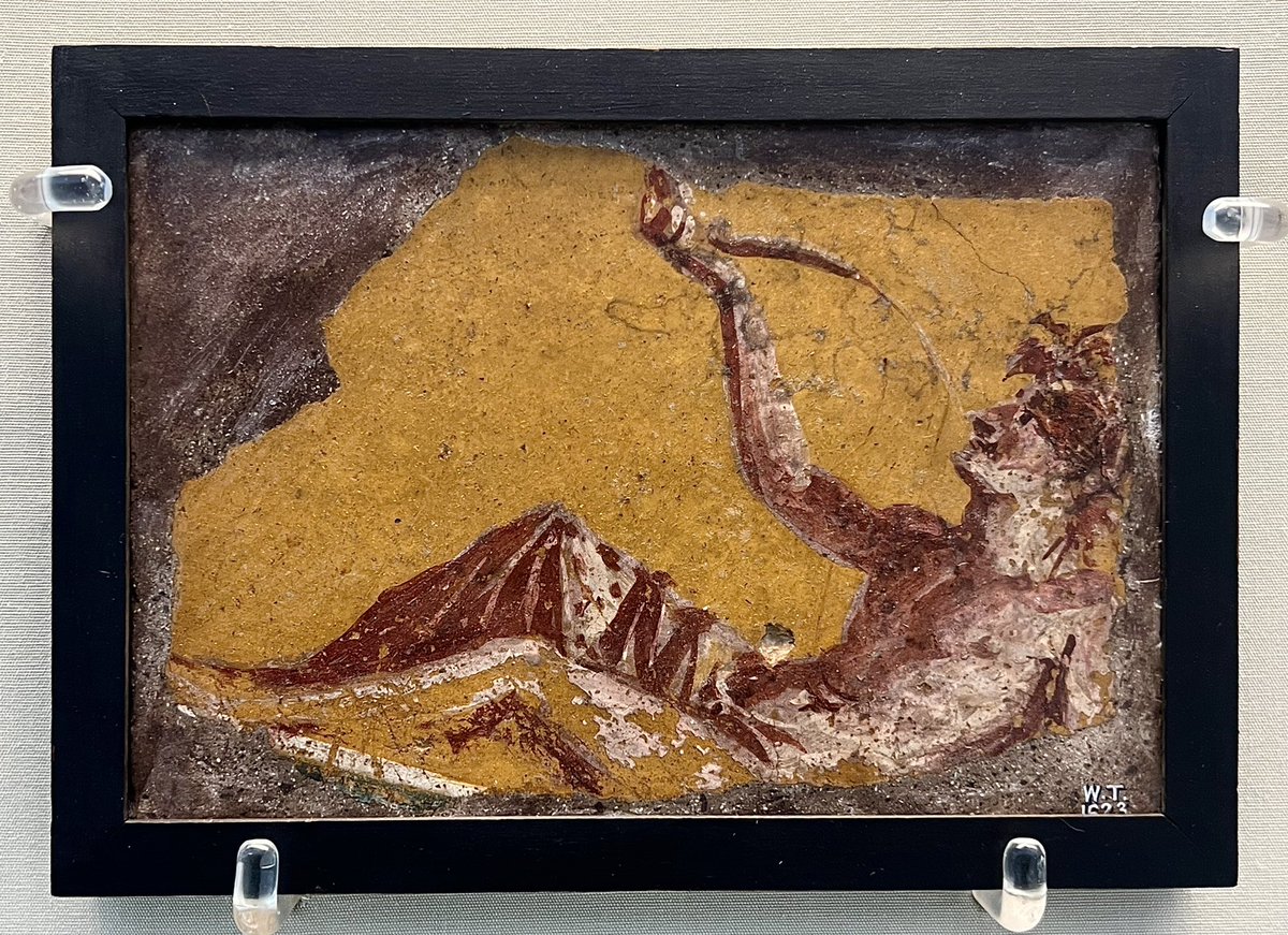 This fragment of vibrant wall-painting depicts a young man at a banquet. He is wearing a wreath, reclining as he drinks from a horn.
Excavated from Pompeii or nearby Torre Annunziata.
50-79 AD
📷March
#FrescoFriday #Archaeology #Roman

On display at the British Museum