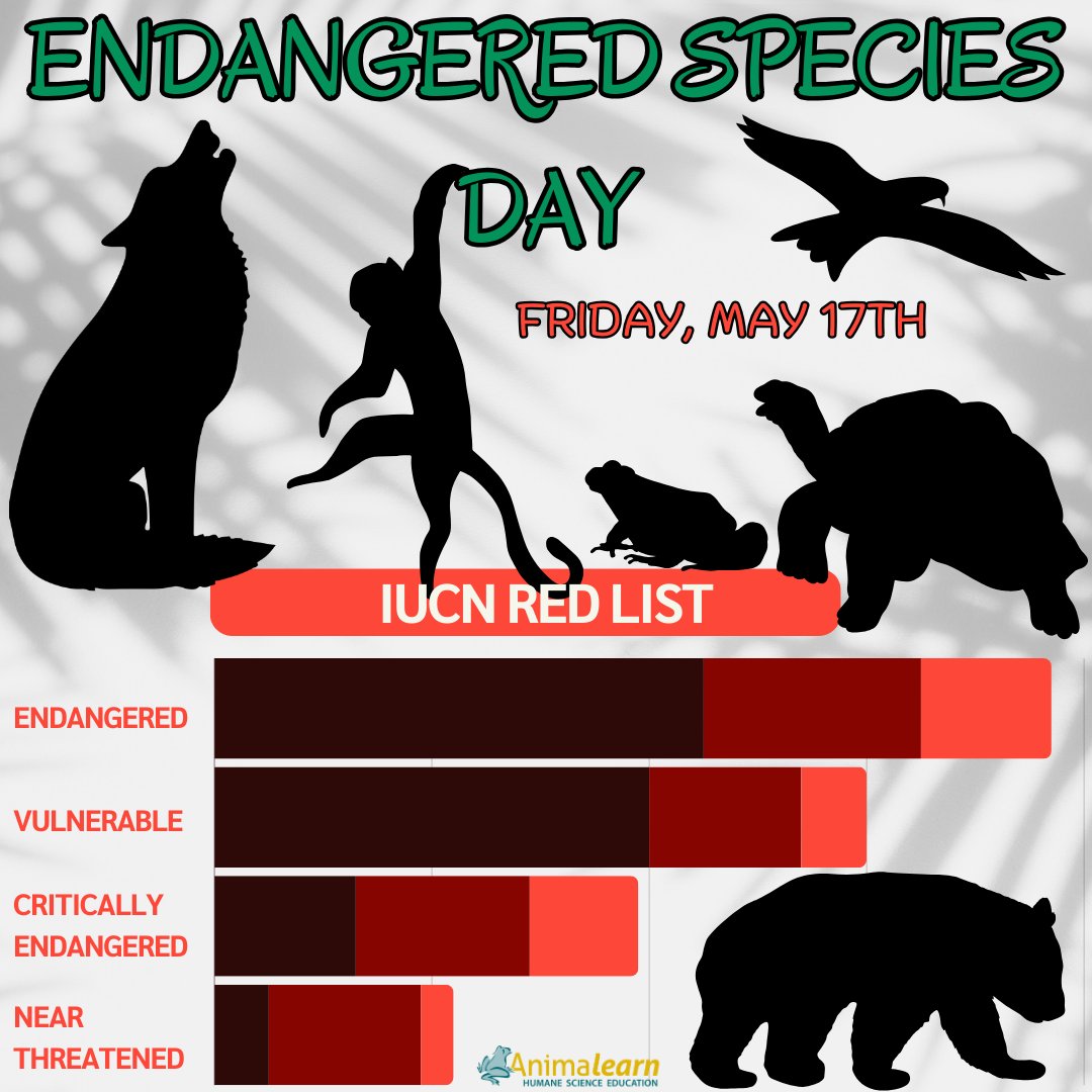 Today is #EndangeredSpeciesDay. You can take action to protect endangered species today and everyday. #humanescience #humaneeducation #teachers #scienceeducation #animalearn #science #lifesciences #anatomy #biology #scienceteachers #sciencetwitter #teachertwitter #edutwitter