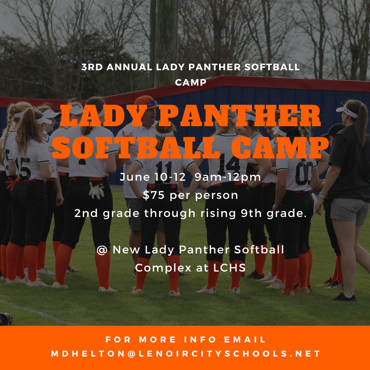 Lenoir City Softball tweet media