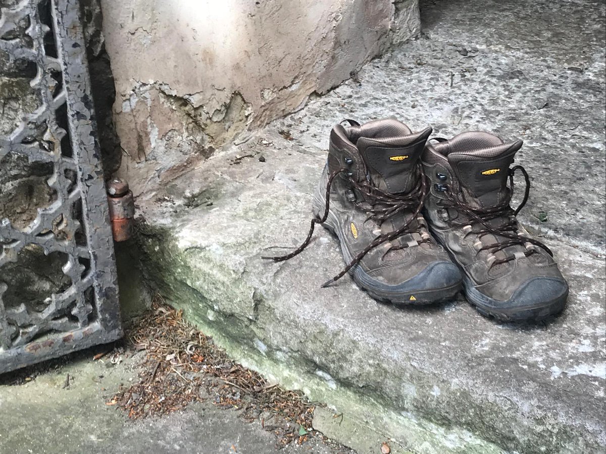 Philippa Rooke tweet media