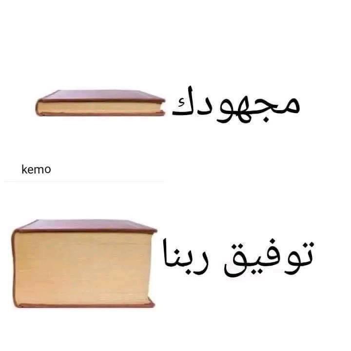 Arab Memes (@arabmemesss) on Twitter photo 2024-05-10 18:04:39