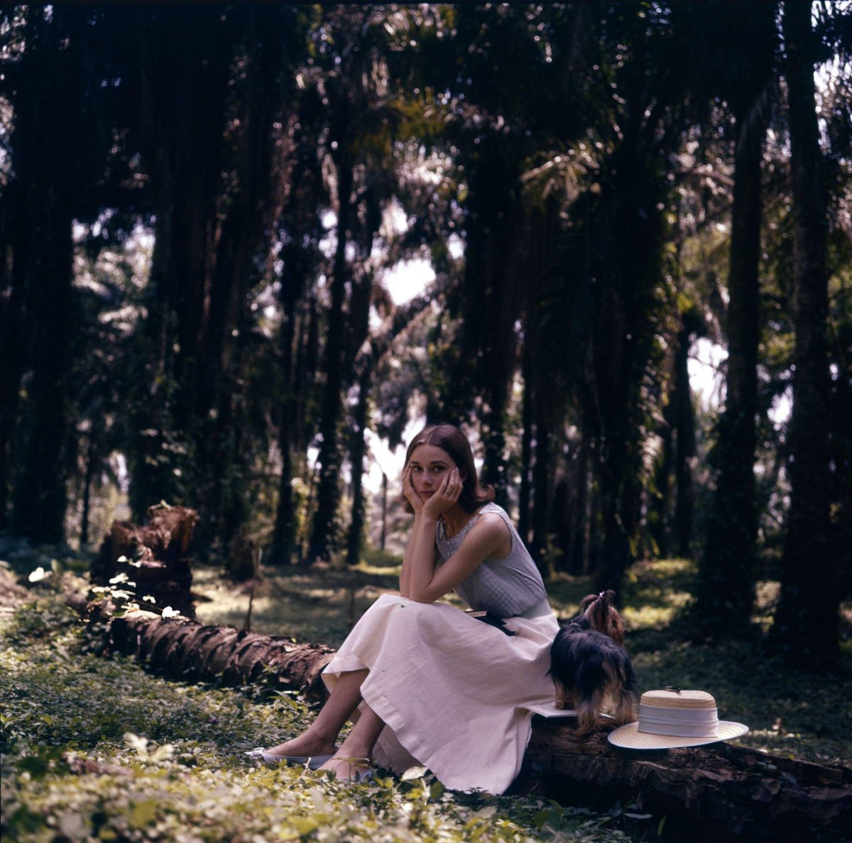 SoAudreyHepburn's tweet photo. Audrey Hepburn photographed by Leo Fuchs, 1958 https://t.co/KZ9ceou8yr