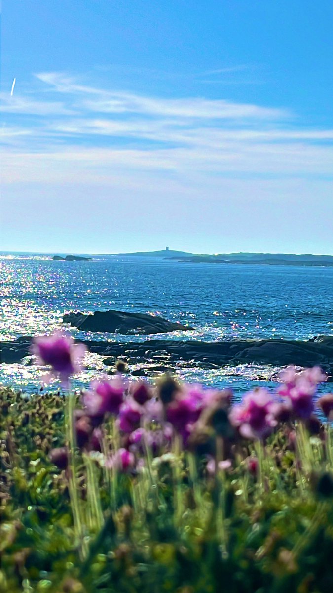 mairecait_mk's tweet image. Tráthnóinín Aoibhinn grianmhar &amp;lt; Tower Cheann Golaim ☀️🌊 #aimsir #grian
