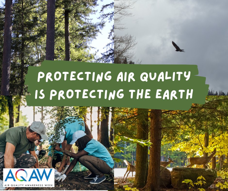 Air pollutants damage the ecosystems that sustain animals, plants – all lifeforms on Earth. Engage in citizen science, advocate for local wildlife, and support initiatives to restore native vegetation. Let's act together for the air we share! #AirQualityAwarenessWeek