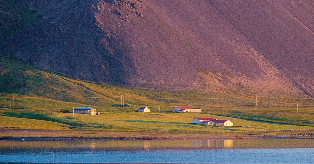 eamonsphotoss's tweet photo. Film photos from last years iceland photography workshop https://t.co/b1nYIV9EHQ
