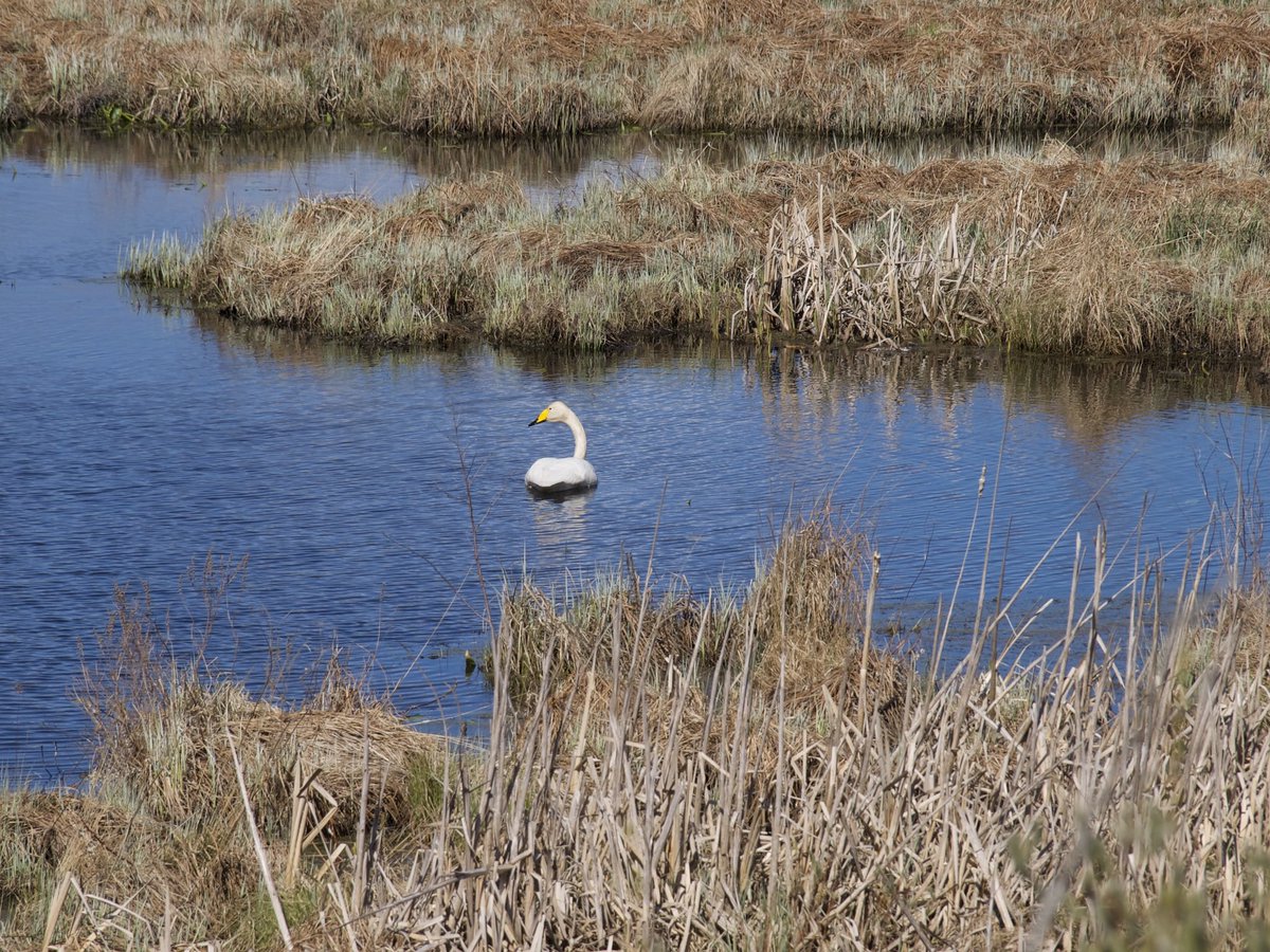 Lapsista ja nuorista sanotaan, että on ”just pahimmassa iässä”. Voisko laajentaa: hän on just pahimmassa opiskeluiässä, itsensäetsimisiässä, ulkonäköpaineiässä, kyynistymisiässä, lapsuudentraumapohdintaiässä, vanhuudenpelkoiässä jne.?