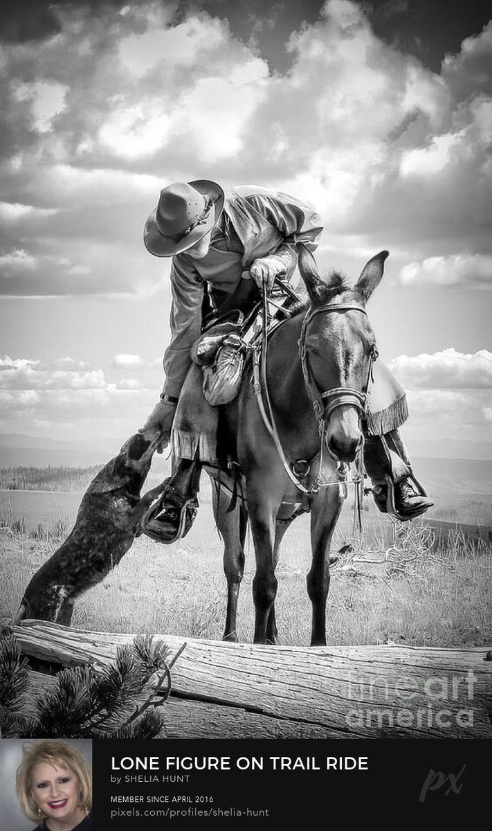 Check out this image I uploaded, reminds me of an old Western... buff.ly/3UW7jKP 
#SheliaHuntPhotography #BestOfTheUSA #BestOfThe_USA #PacificNorthwest #oregon #pnw #pnwadventures #EagleCapWilderness #eaglecap #OldWest #westerns