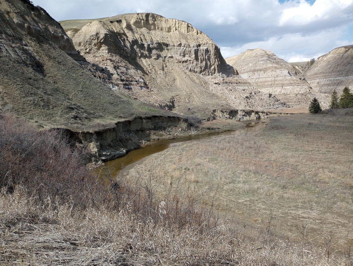 Suitable hibernation habitat for bats remains largely unidentified in most jurisdictions. Identified hibernation sites should consistently be recognized as key habitat that requires conservation & protection. In Alberta, prairie riparian badlands offer these features for bats.