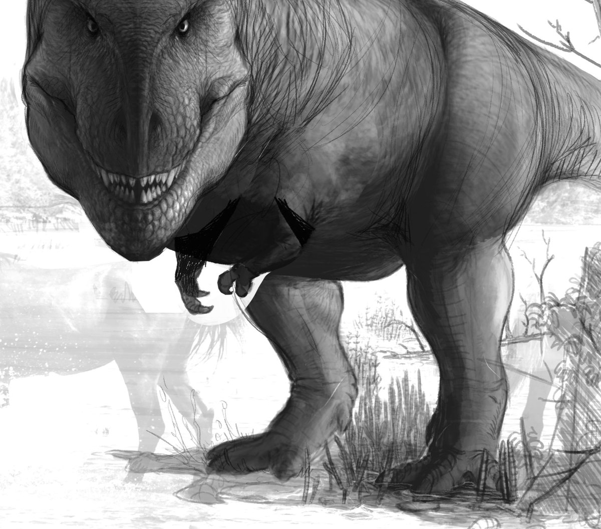 For #FossilFriday I'm revisiting an old sketch I plan to finish with 2 other illustrations this year. It's been a slow start coming back and finding my earrings. I love BW. #Tyrannosaurus
