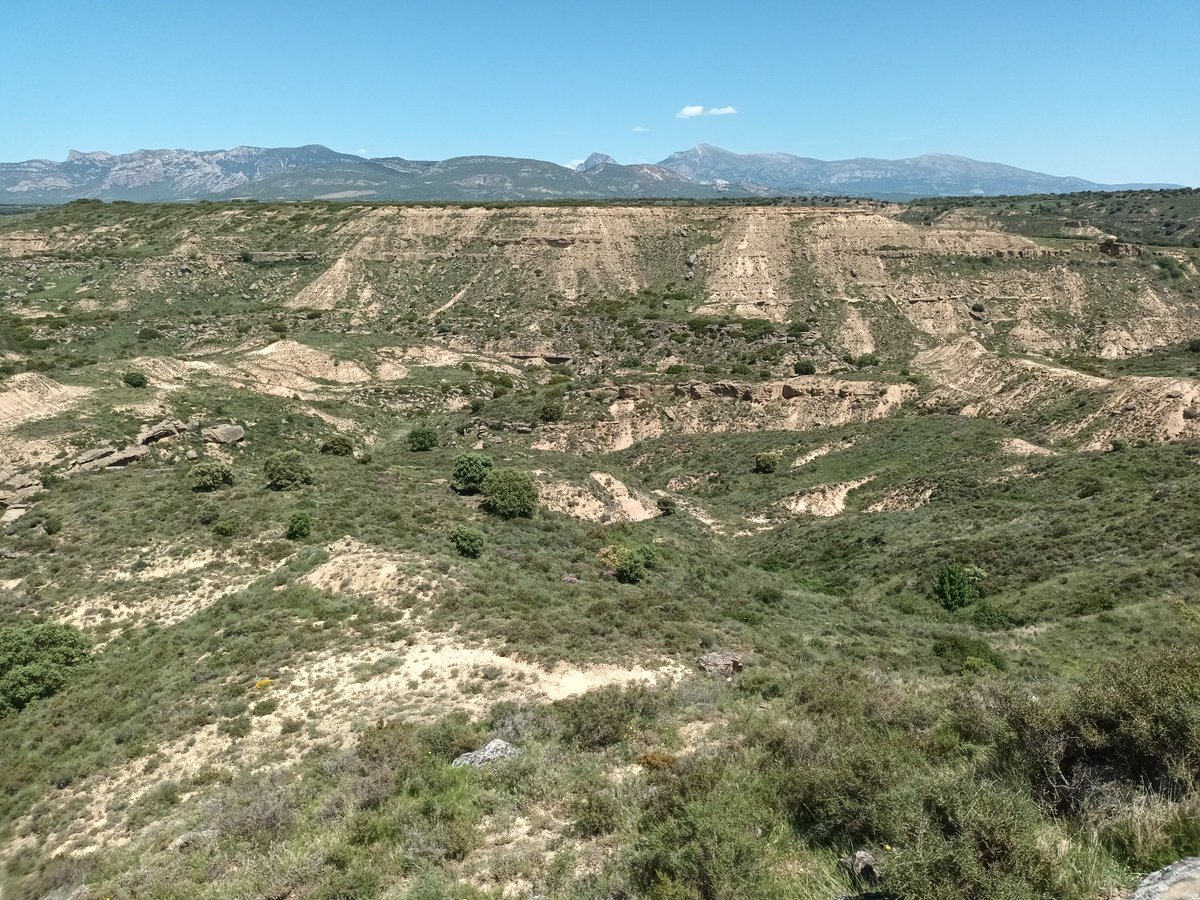 We moved into the foothills of the Pyrenees today. Wonderful range of birds and butterflies. Heading to high altitude tomorrow. #pyrenees