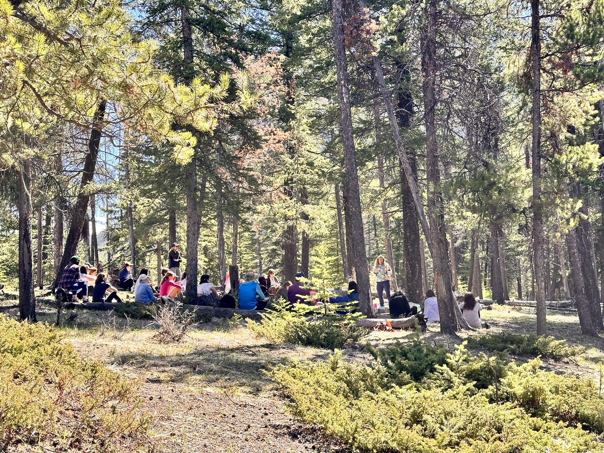 Court Rustemeyer tweet media