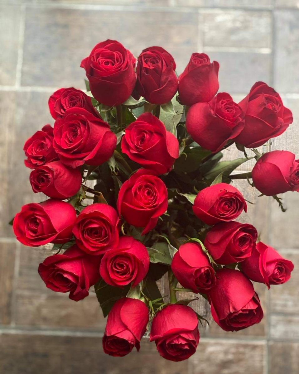 VVictorio1969's tweet photo. @marlenyAleelayn Para una hermosura https://t.co/9DtiY3abuk