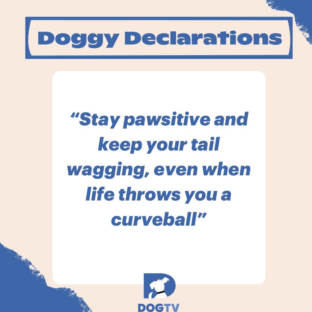 Keep a 'pawsitive' attitude and let your spirit wag on, no matter what surprises life serves up!🥰🐶❤️

#fridaymantra  #pawsitivevibes  #mondaymood  #petparents  #dogsofinstagram  #uplifitngquotes  #dogtv