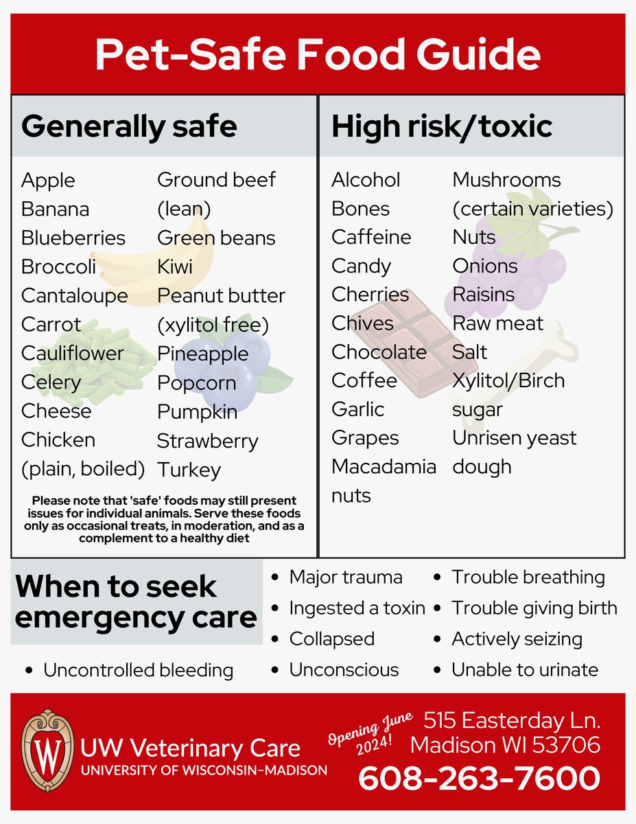uwvetmed's tweet photo. #PetWeek Day 6 focuses on pet emergencies so you can stop Googling “Can my pet eat this?” We’ve prepared a printable guide of safe and unsafe foods for pets. 🐾 Check it out and support the SVM at https://t.co/1K87Ucfa2x https://t.co/P3af6G1Kfq