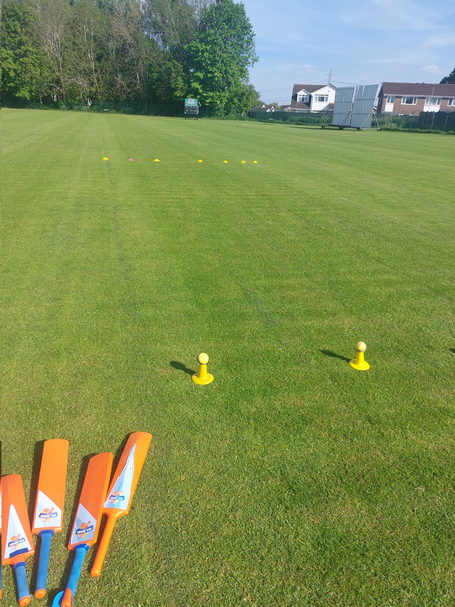 mr_usw's tweet photo. Summer means cricket season, coaching starting back up tonight and great to see it thriving with well over 40 all stars. Keeping busy in the Uni off season 🏏 https://t.co/KlgJvkGKJa