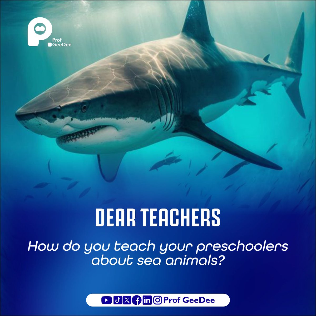 Teaching preschoolers about sea animals  helps them develop an understanding and appreciation for the natural world around them. 

 You can start by showing them pictures of sea animals.

#earlyyears
#earlylearning
#earlychildhooddevelopment
#dearteacherseries
#profgeedee
