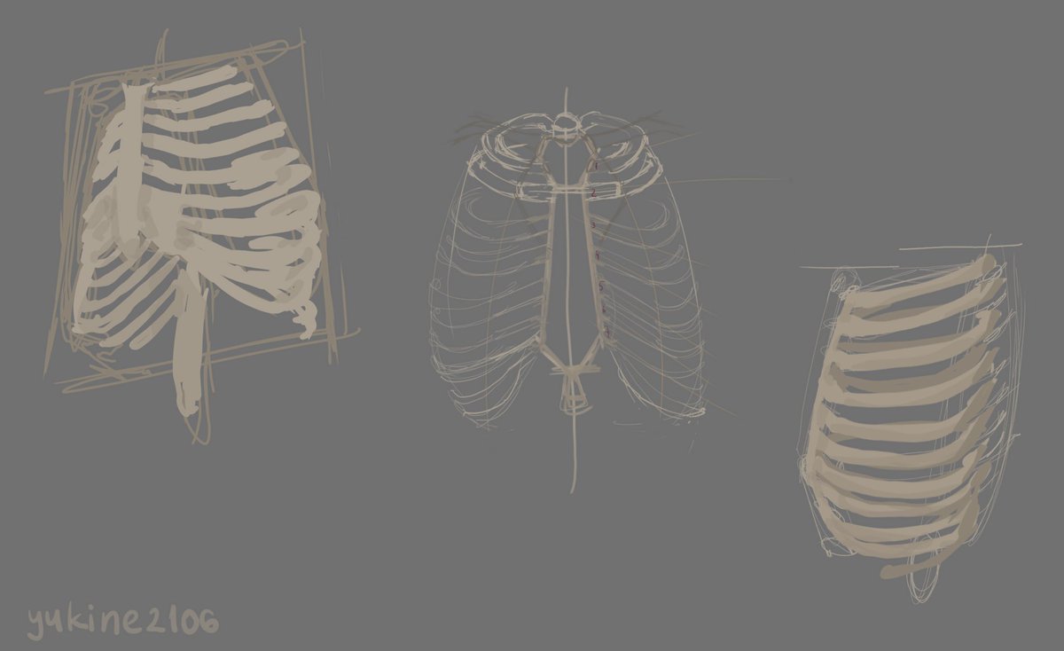 a_reality_0's tweet photo. Sketching time #anatomy #sketch #art https://t.co/0qm4ef4qn2
