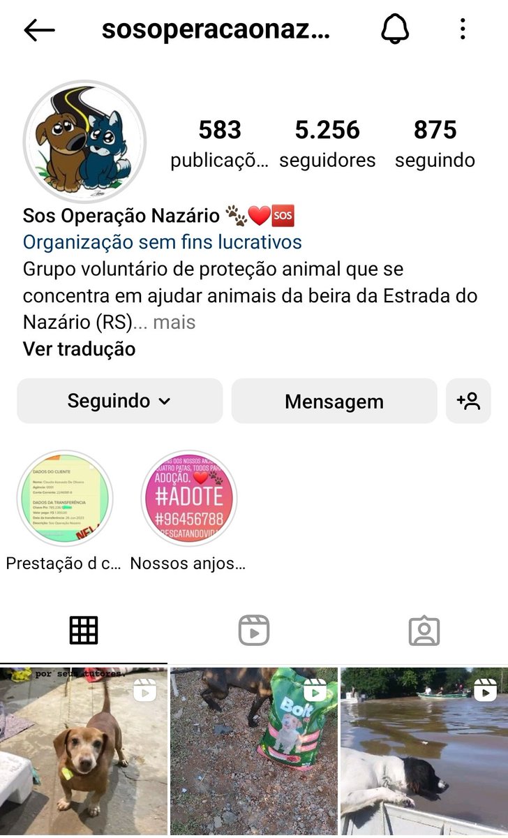 SOS RS Portais tweet media