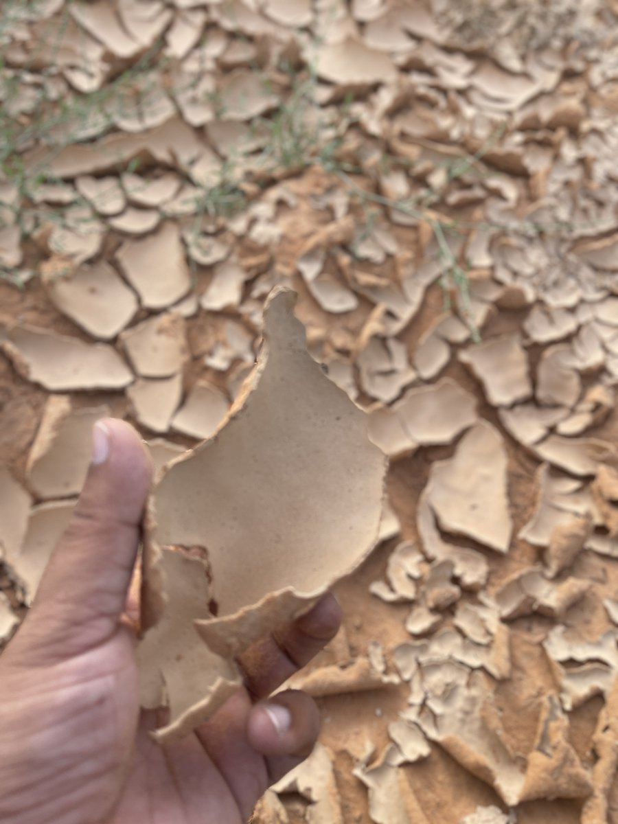 I walked over the mudcracks on the dry ground while passing through the empty valley.

#adventure #Civilization #Desert #discover #May2024 #NaturalBeauty #Travel #الرياض_الان #TwitterNatureCommunity #SaudiArabia #traveltheworld #NaturePhotograhpy #stg_d2d