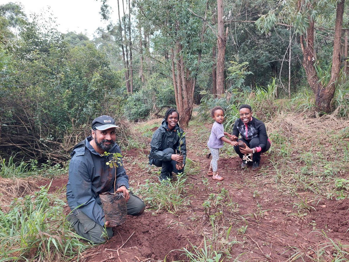 50 trees planted by doctors from <a href="/AKUGlobal/">Aga Khan University</a> <a href="/AKUHNairobi/">Aga Khan University Hospital, Nairobi</a> with <a href="/FriendsofKarura/">Friends of Karura</a> as part of #NationalTreeGrowingDay