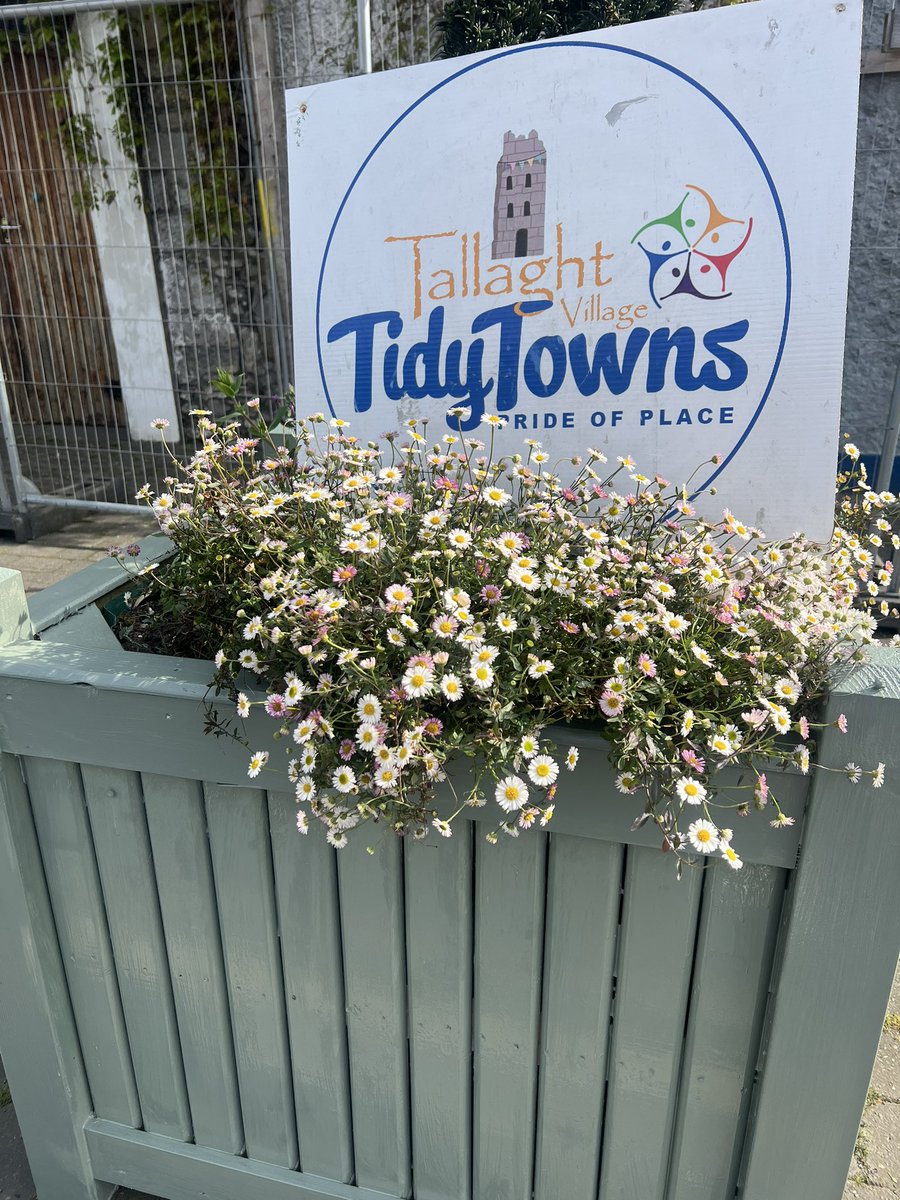 TallaghtComCo's tweet image. Great day in Tallaght village with AWS !! 26 wooden street planters sanded &amp;amp; painted getting judging ready for Tidy Towns 2024 @tidytownsireland 
#AWSinCommunities