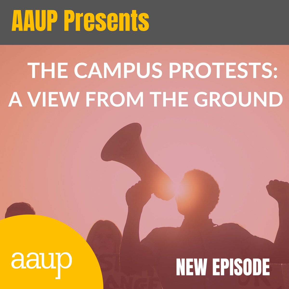 As crackdowns on the campus protests continue, we get reports from the ground at Dartmouth, Rutgers & CUNY. In the latest episode of #AAUPPresents we sit down w/ @AnneliseOrleck1, @ProfTWolf, Nivedita Majumdar & AAUP president @imulvey. Listen: buzzsprout.com/1837772/150453…