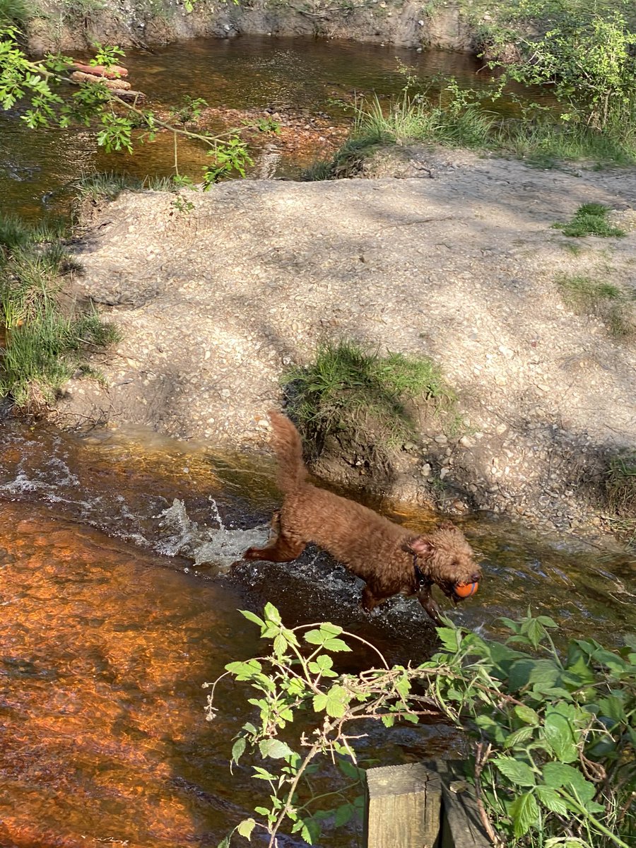 ExploraNeedham's tweet image. 