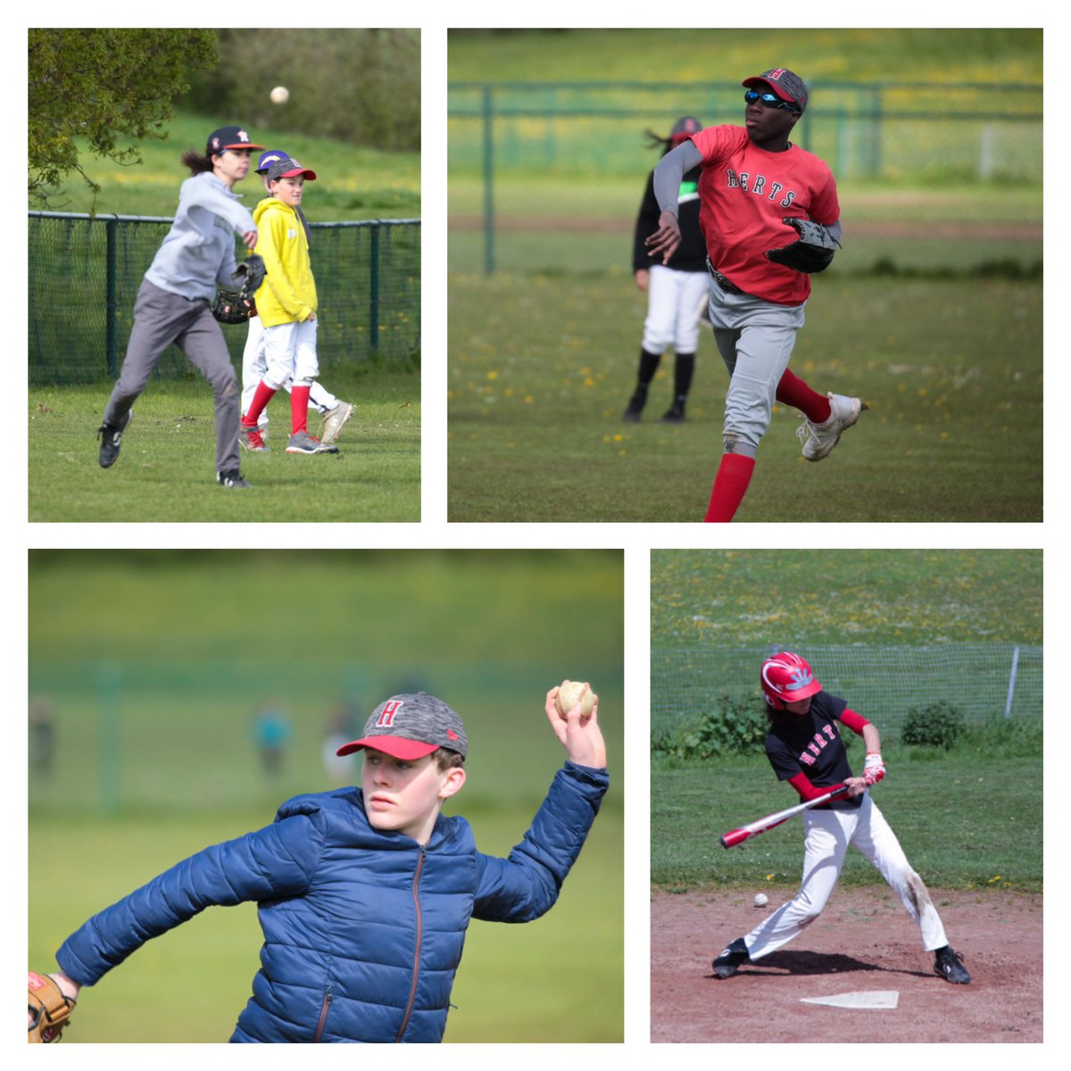 HertsBaseball's tweet image. Our youth teams have been training hard, and tomorrow they get to play a round of games at @HertsBallpark in the @BritishBaseball Super League. Three age groups, a full day of action. Please come down and cheer them on! #baseball #hemelhempstead hertsbaseball.com/2024/05/10/bbf…