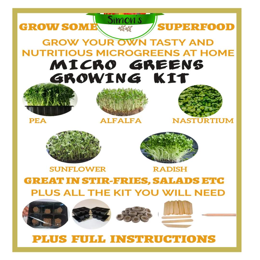 SimonsSeeds's tweet photo. A great time to grow Microgreens. Packed FULL of vitamins and minerals. Easy to grow and quick to crop. Our kit has everything you need. https://t.co/IngpmJWHUj #LincsConnect #growingkits https://t.co/t9WGo9Z12k