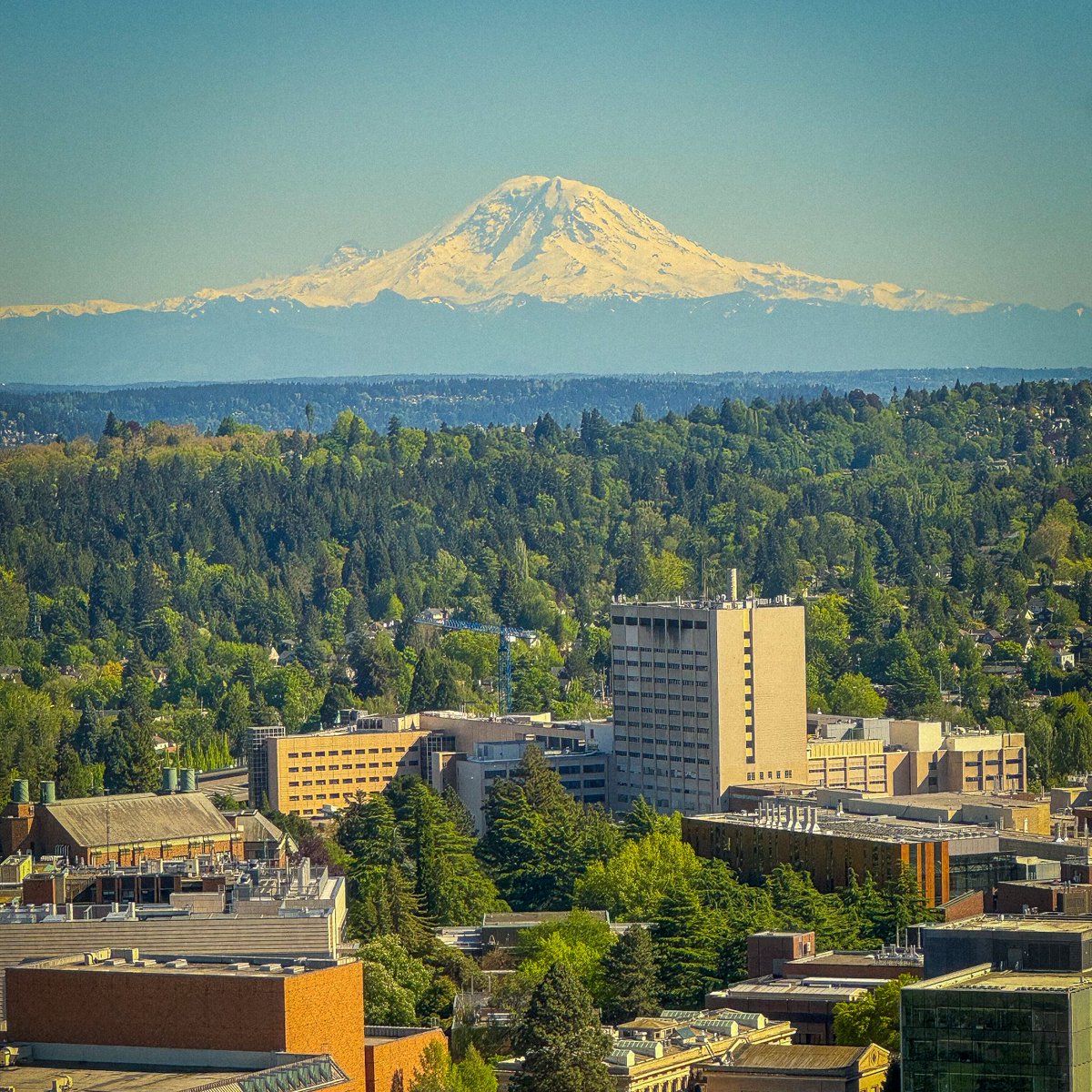 Mountain majesty. 💜🏔️