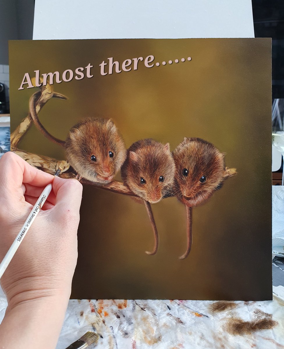 Just need to 'marry in' the mice to the background and work up the little branch and then I'll be finished. Title suggestions anyone?? 🐭🐭🐭

#fieldmice #harvestmice #mice #mousepainting #mousegifts #cutemice #ukwildlife #britishwildlife #realism #oilpainting #artforsale #art