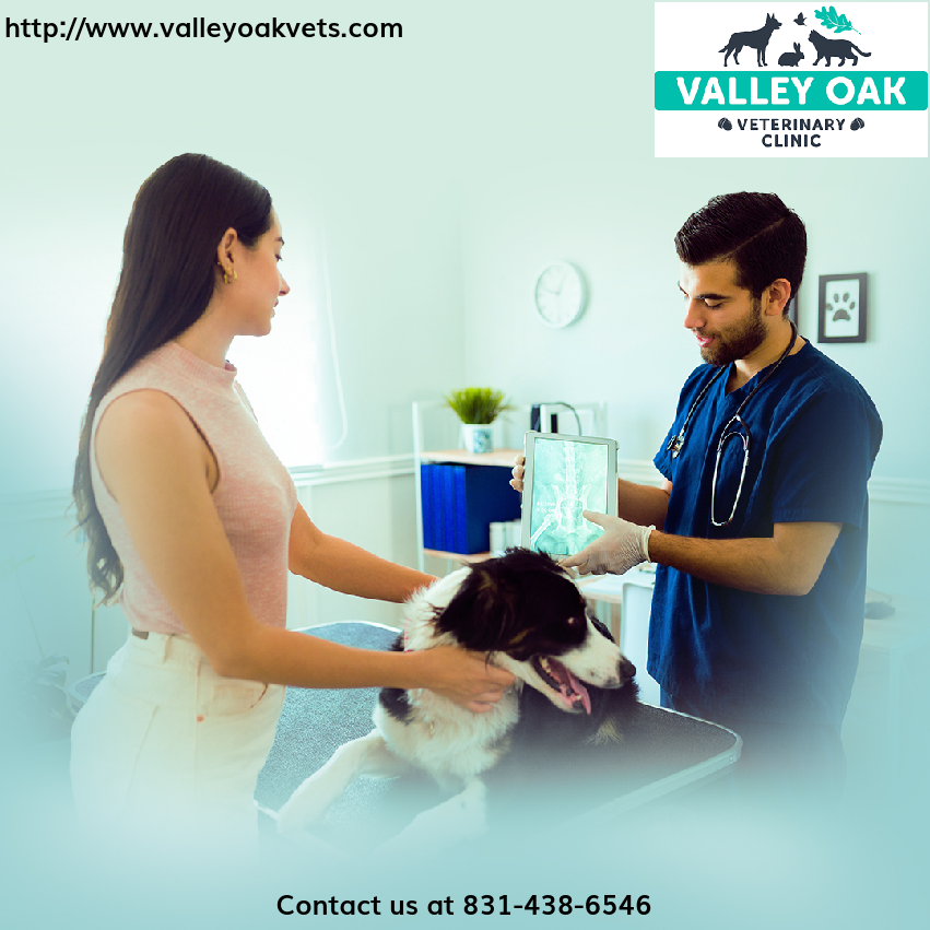 For those unexpected moments, rely on our vets for compassionate emergency care tailored to your pet's needs. ✔ #EmergencyAndCriticalCare #EmergencyCare #PetVeterinary #PetVeterinaryNearMe #PetVets