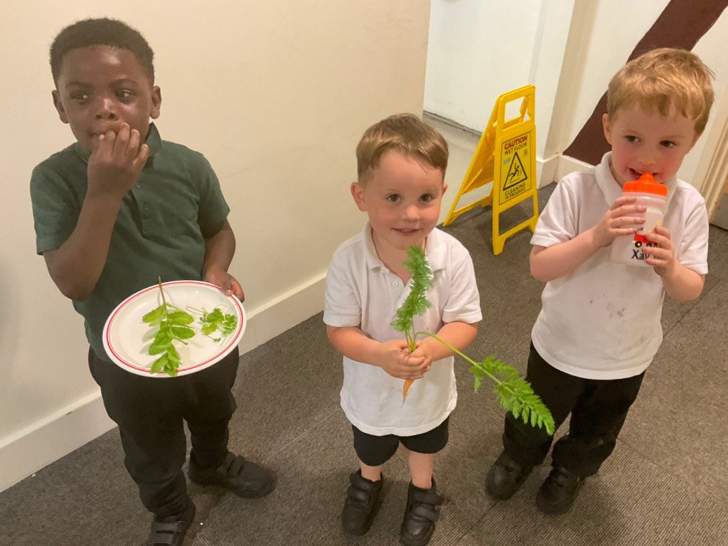 Ladybird class watered the mint, basil & carrots. We noticed that some of the carrots were ready to be pulled up. We took some of our produce to the kitchen to be used for school dinners. @inclusion_s @TheSchoolSeedB1 @johnbryantHT @LAHam21 @Primary1stTrust @nunnnat1 #GrowYourOwn