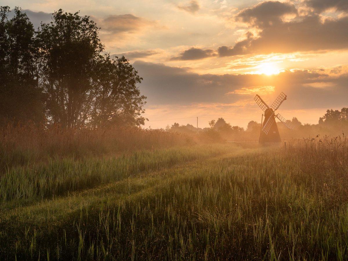 Want to enjoy a view like this? You can now visit @WickenFenNT at a different time of day. The Visitor Centre and Boardwalk will remain open until 8pm on Thursday evenings this May. Join us for family craft activities, pizza, the sound of birdsong and a great view. 📷Rob Coleman
