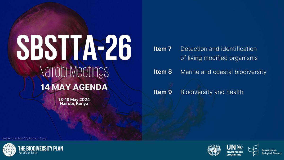 UNBiodiversity's tweet image. Today, the #NairobiMeetings will consider the following items🗒️:

🧬Detection and identification of living modified organisms #LMOs

🌊Marine and coastal biodiversity

🌱Biodiversity and health

🔗cbd.int/meetings/SBSTT…
🔗cbd.int/conferences/na…