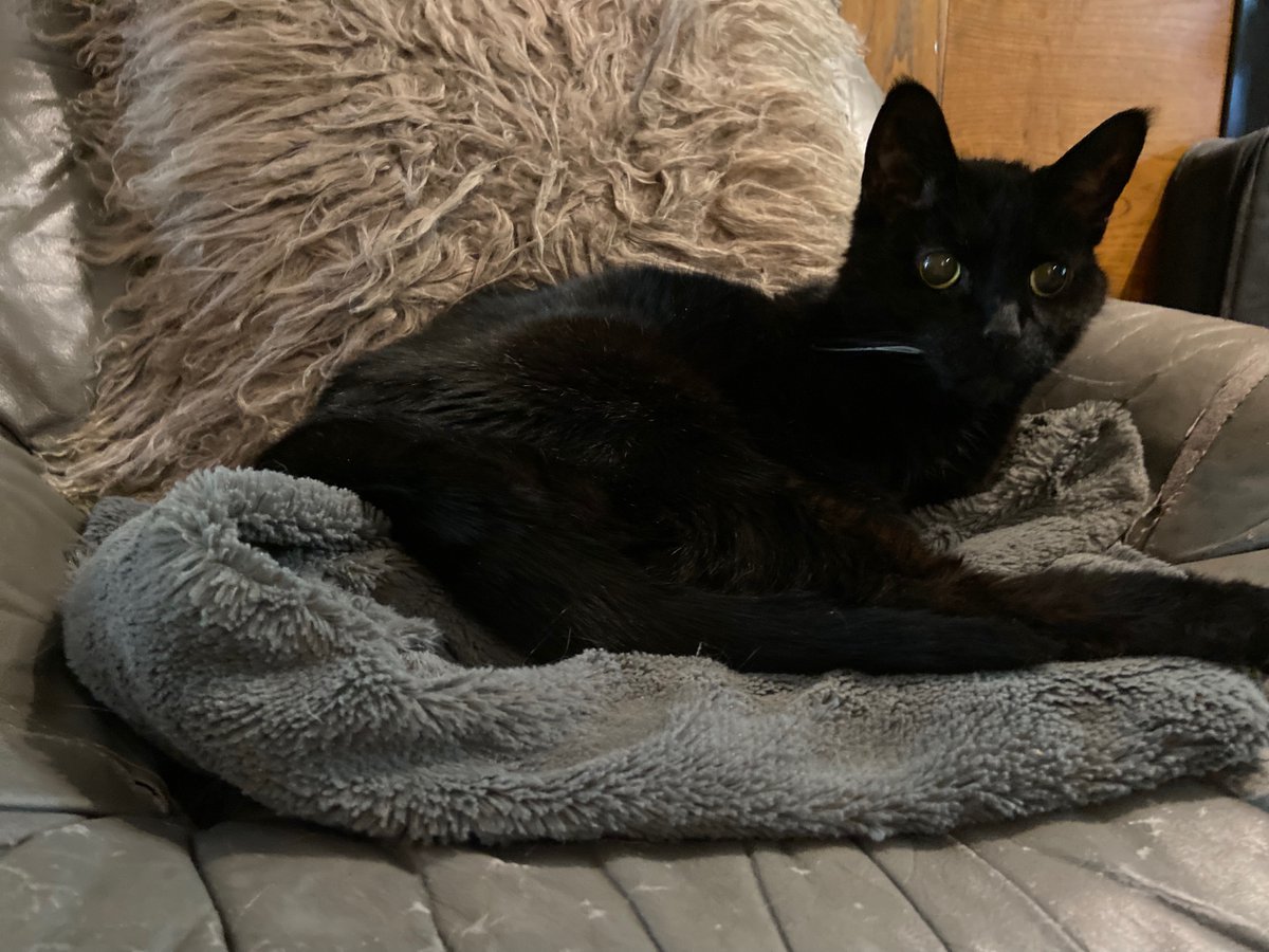 J.D. Considine tweet media