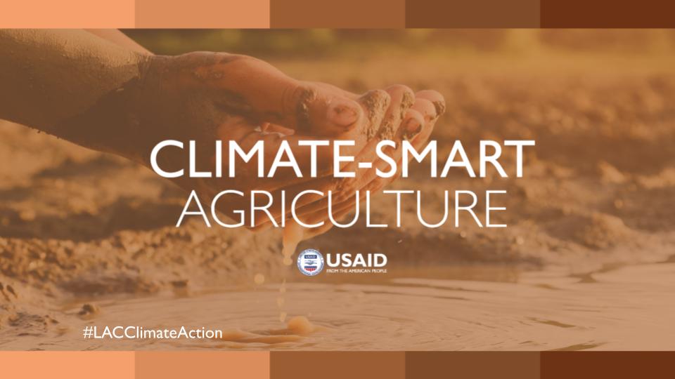 By promoting sustainable agriculture in Latin America and Caribbean through practices like agroforestry, organic farming, and better water management, @USAID helps cut emissions & preserve ecosystems. #LACClimateAction