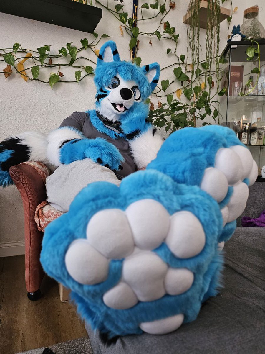 Hey there, something catching your eyes?~ 🐾👀
Just resting my paws on this #FursuitFriday Someone want to join me? 😊🐾

📸 @lupus_taurus 
🪡 @Sasa_Creations 

#Furry #Fursuit #Paws