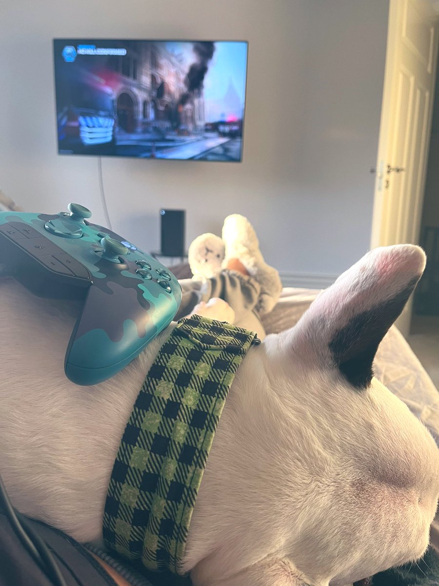 Perfect Friday If You Ask Me😎🎮💚🐾

#Xbox #FridayMotivation #Doglife